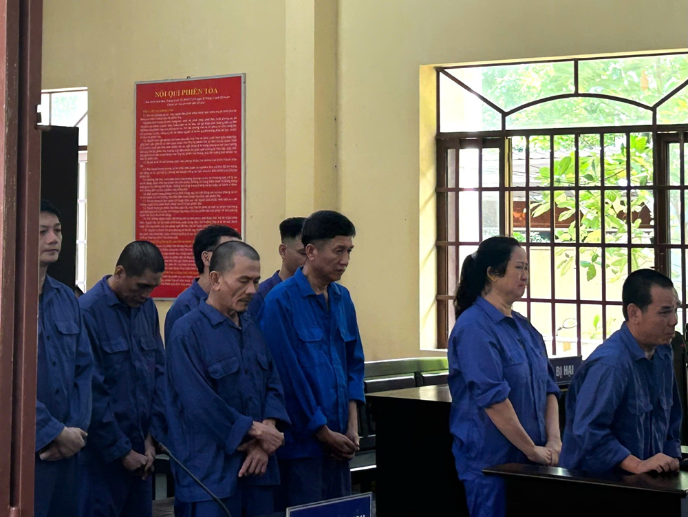 Tuyên án bà nội trợ Hoàng Thị Thanh Hương và chồng - ảnh 1