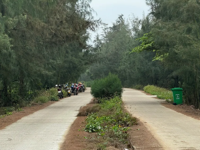 Khởi tố 2 giám đốc  - ảnh 3