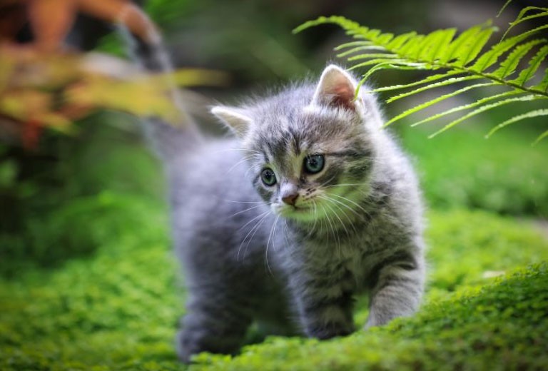 Tháng 6 Âm lịch, 4 con giáp trúng số giàu to, quý nhân đưa đường, tình duyên rực rỡ - ảnh 3