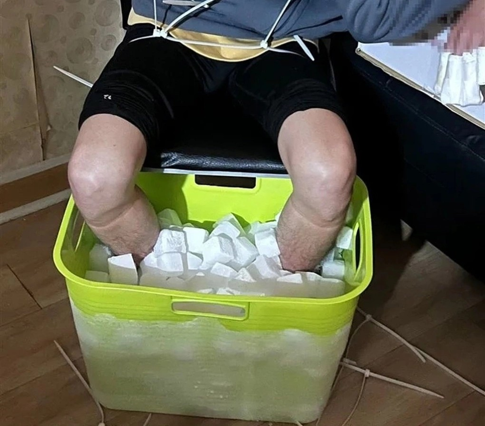 Truy tố 2 sinh viên đại học - ảnh 1