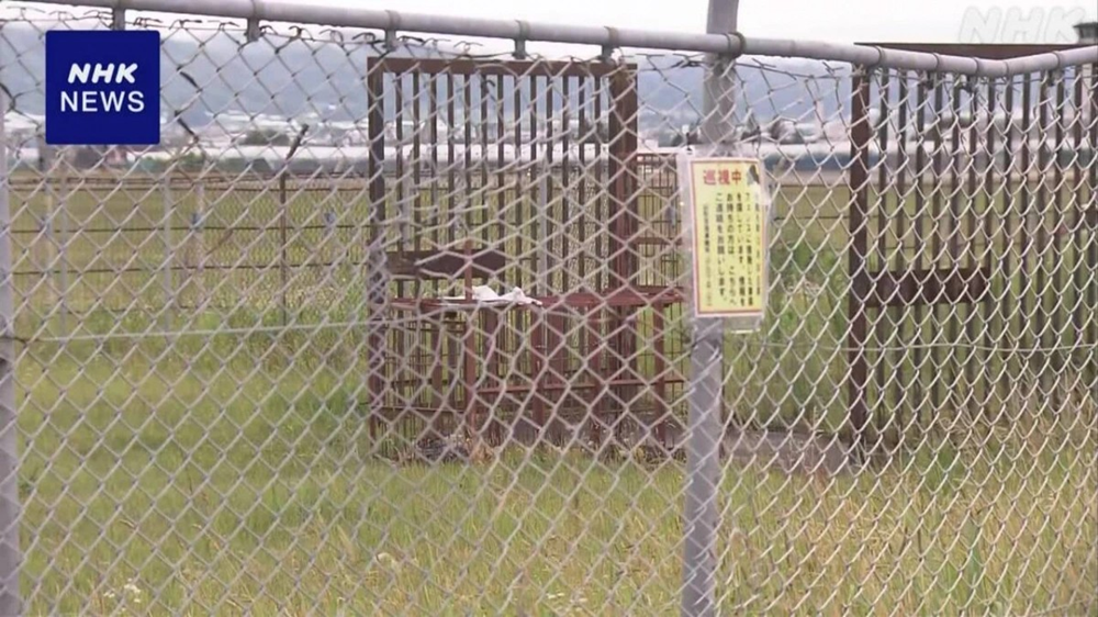 Đóng cửa khẩn cấp đường băng một sân bay, hàng chục chuyến bay bị hủy bỏ - ảnh 2