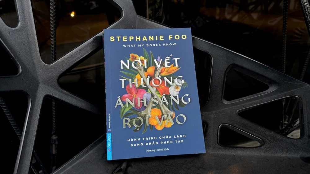 ‘Nơi vết thương ánh sáng rọi vào’ - Cuốn sách tiên phong về Sang chấn Phức tạp - ảnh 4