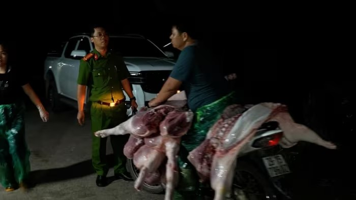 Kiểm tra khẩn cấp trong đêm, tạm giữ Lê Văn Tươi, tịch thu 5.300kg thịt dương tính với dịch tả lợn châu Phi - ảnh 4