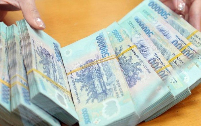 Truy tố nữ Giám đốc điều hành 2 doanh nghiệp - ảnh 1