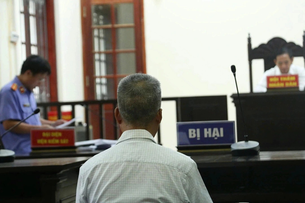 Tuyên án chung thân 'gái xinh' 2003 lừa hơn 19 tỷ đồng của cụ ông U70 - ảnh 2