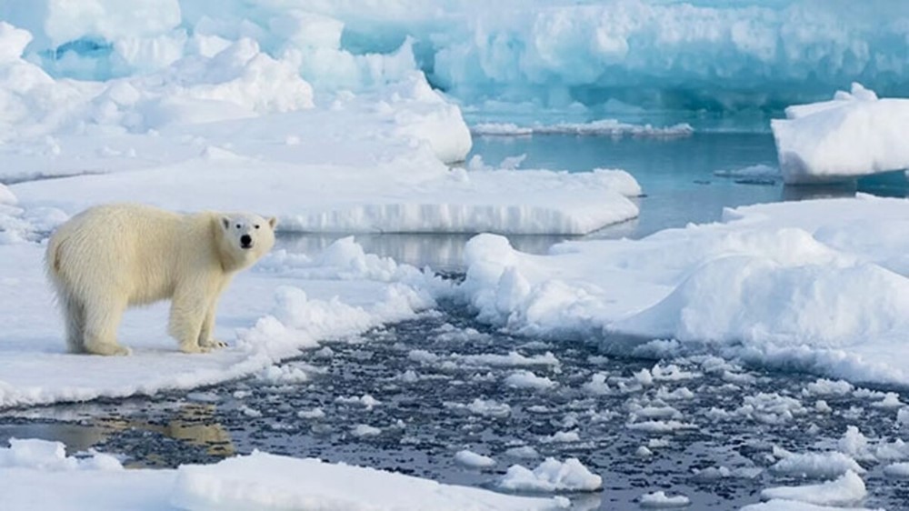 Hôm nay, người Việt trải qua ngày ‘ngắn bất thường’ trong lịch sử - ảnh 2