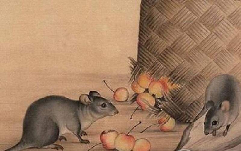 Tháng 7 Âm lịch, 4 con giáp vận đỏ như son, làm đâu thắng đó - ảnh 1