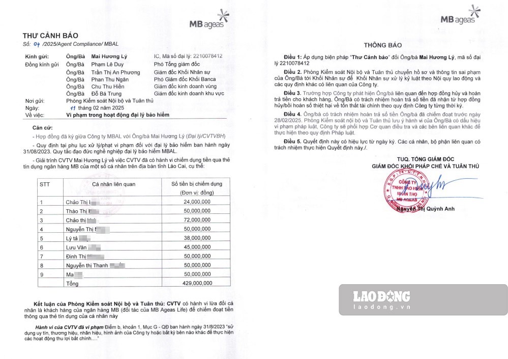 Tuyên án nhân viên bảo hiểm nhân thọ Mai Hương Lý 12,5 năm tù - ảnh 2