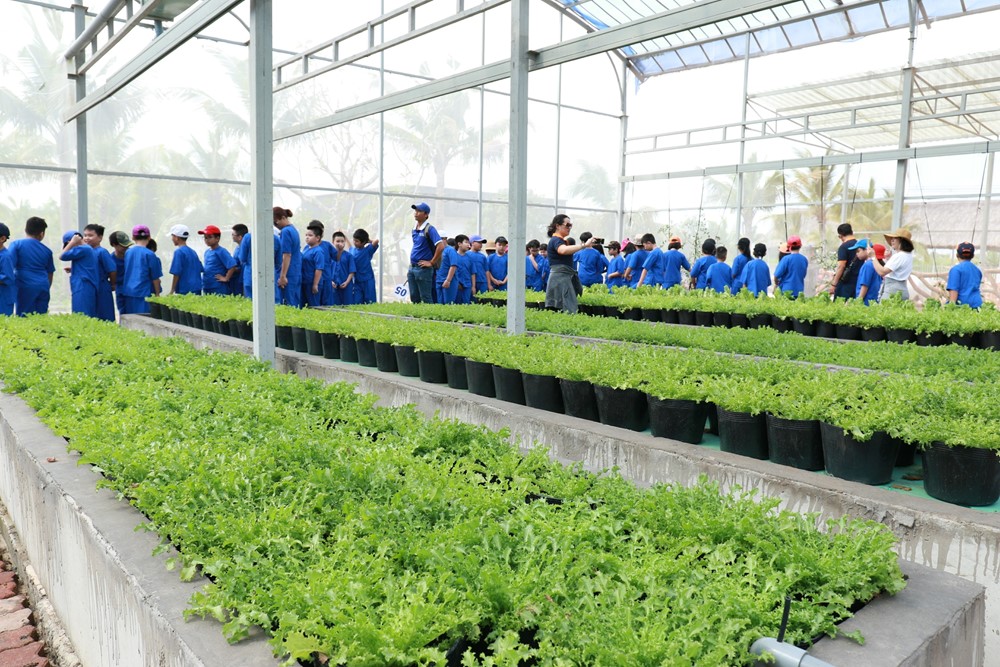 Từ nay, học sinh đến KDL Đại Nam có thể nhận ‘món quà’ đặc biệt này - ảnh 1