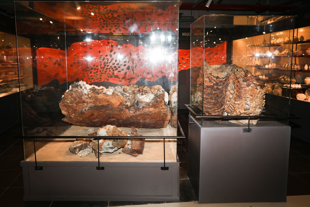 Lão nông Việt được mệnh danh ‘vua ngọc trai’: Từng mò trai, bắt ốc kiếm từng đồng, nay là Giám đốc công ty có vốn điều lệ 300 tỷ đồng - ảnh 3