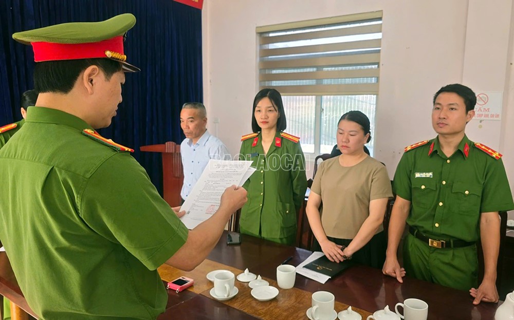 Khám xét nơi ở, bắt tạm giam cán bộ công chức Đinh Thị Diệu Hoa - ảnh 1