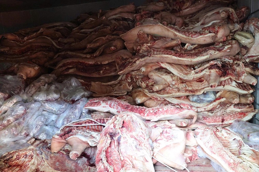 Khởi tố, bắt tạm giam chủ lò mổ Phan Văn Phòng - ảnh 2