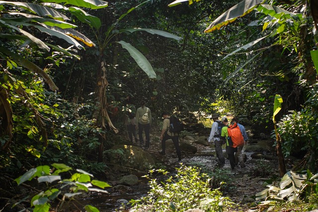 ‘Kho báu’ 500 tuổi nằm giữa Vườn Quốc gia nổi tiếng của Việt Nam sắp mở cửa đón khách - ảnh 2