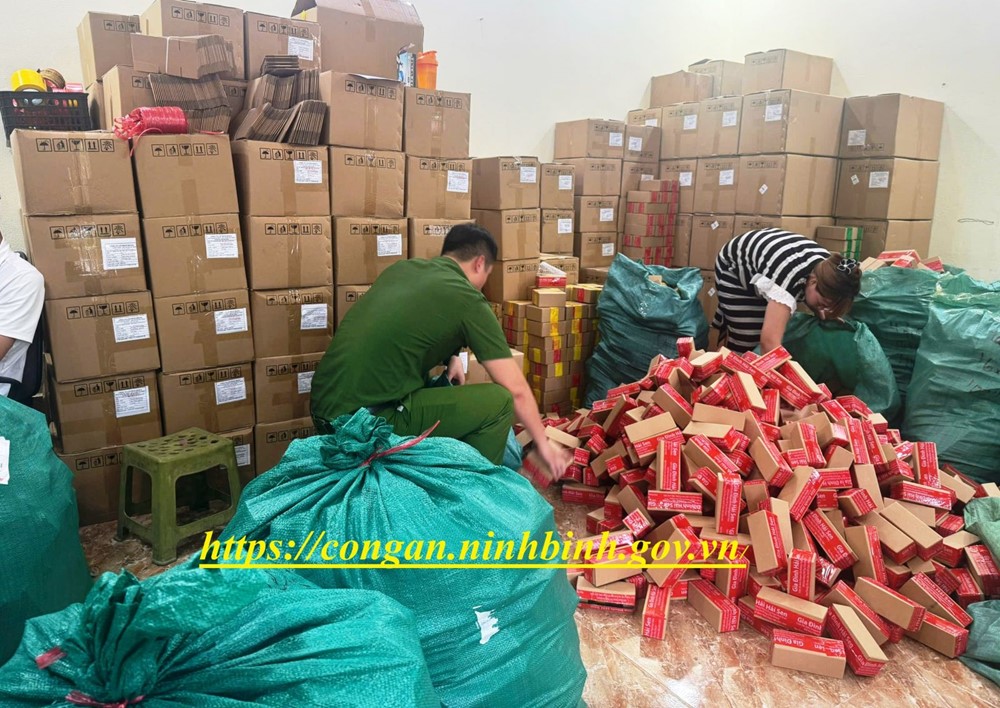 Khởi tố thêm tội danh đối với chủ kênh TikTok 'Gia đình Hải Sen' - ảnh 2