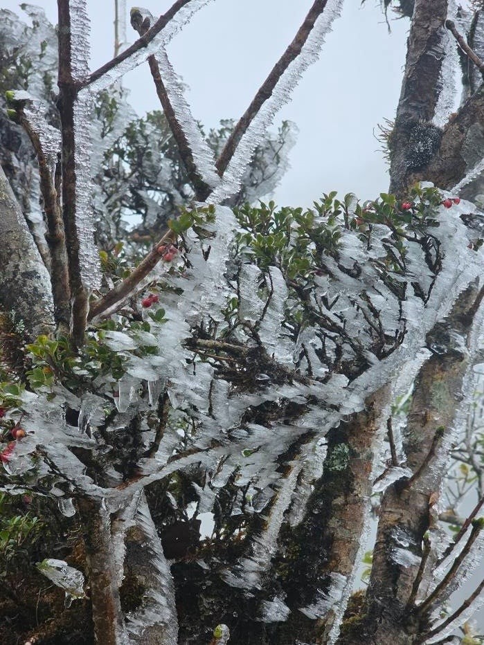 Ngay lúc này, Việt Nam xuất hiện băng tuyết - ảnh 1