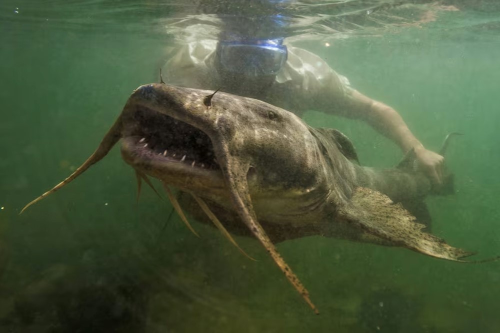 Con sông nội địa dài 500km, hội tụ 3 nhà máy thủy điện lớn nhất Việt Nam, chiếm 30% sản lượng điện cả nước - ảnh 3