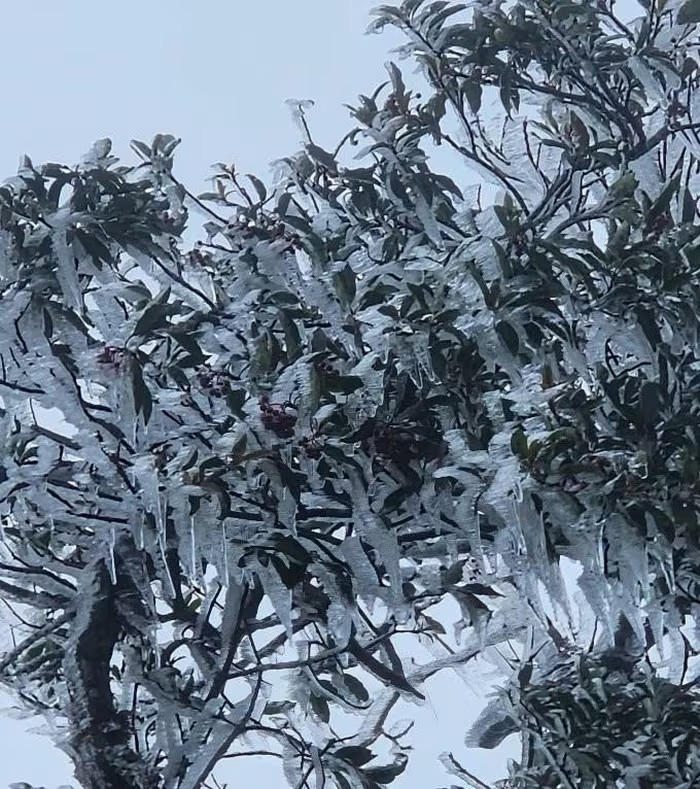 Ngọn núi của Việt Nam bất ngờ xuất hiện băng tuyết: Nằm ở độ cao 2.900m, được ví như 'nóc nhà' của Tây Bắc - ảnh 1