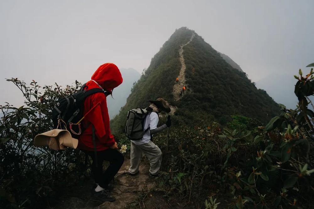 Ngọn núi của Việt Nam bất ngờ xuất hiện băng tuyết: Nằm ở độ cao 2.900m, được ví như 'nóc nhà' của Tây Bắc - ảnh 3
