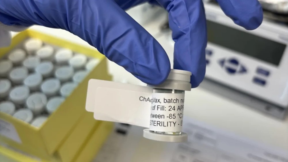 Sắp thử nghiệm lâm sàng vaccine điều trị bệnh ung thư khiến 24.000 người Việt mắc mỗi năm - ảnh 1