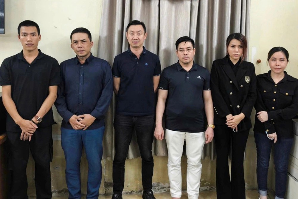 Truy tố cựu tiếp viên hàng không Đinh Thị Thanh Tuyền - ảnh 1