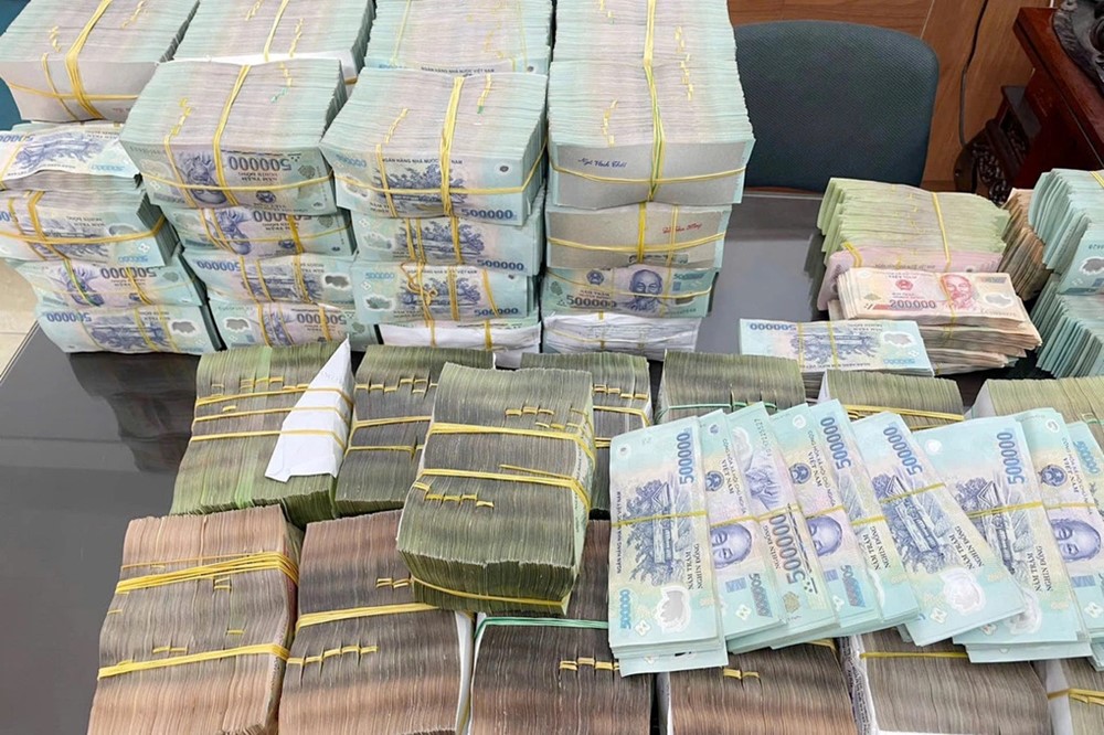 Truy tố cựu tiếp viên hàng không Đinh Thị Thanh Tuyền - ảnh 2