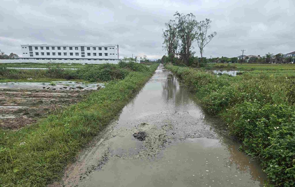 Ngôi trường gần 25 tỷ, từng bị bỏ hoang chính thức đi vào hoạt động - ảnh 2