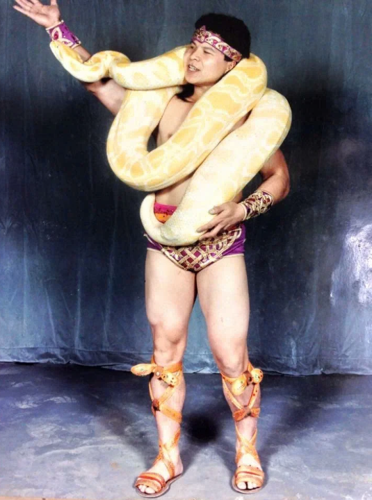 NSND duy nhất được mệnh danh là 'vua xiếc Việt': Nổi danh khắp thế giới, 4 lần suýt mất mạng vì 'bạn diễn' - ảnh 2