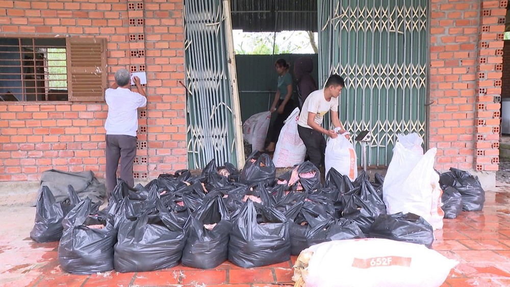 Phát hiện hơn 2 tấn vịt chết bốc mùi tại nhà dân, bắt quả tang vợ chồng D.Đ.C. - ảnh 1