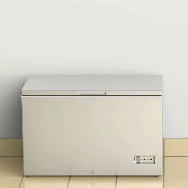 Hé lộ lời khai của người mẹ giấu thi thể con gái trong tủ đông suốt 20 năm - ảnh 2