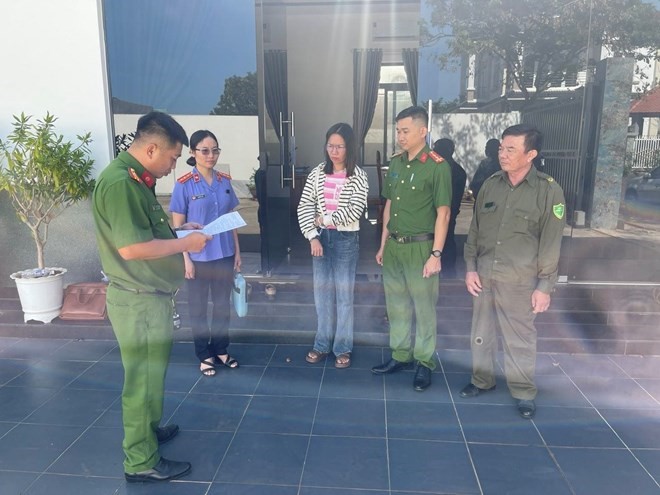 Bắt tạm giam nhân viên kinh doanh Nguyễn Thị Kim Anh - ảnh 1