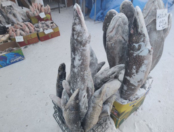 Đây là thành phố lạnh nhất thế giới, người dân phải mặc 10kg quần áo ra đường, học sinh vẫn đến trường ở mức -40 độ - ảnh 3