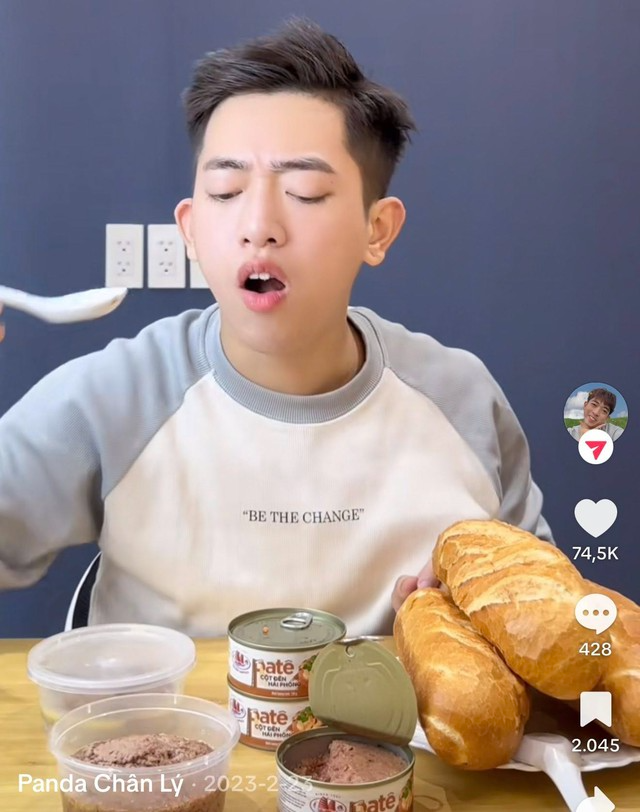 Động thái lạ của loạt TikToker từng quảng cáo pate của Đồ hộp Hạ Long - ảnh 6