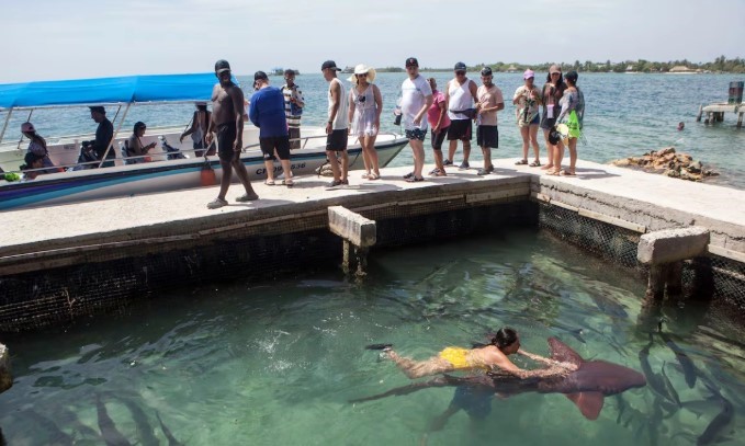 Hòn đảo có diện tích chưa bằng 2 sân vận động: Gần 1.000 người chen chúc trong 115 căn nhà, không bao giờ xảy ra tai nạn, trộm cắp - ảnh 5