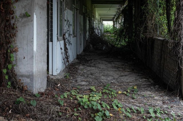 Ngôi trường 114 tỷ đồng bị bỏ hoang suốt 8 năm: Cỏ mọc um tùm, xi măng chất đống lối đi, phòng học bị vẽ bậy bằng hình thù dị dạng - ảnh 3