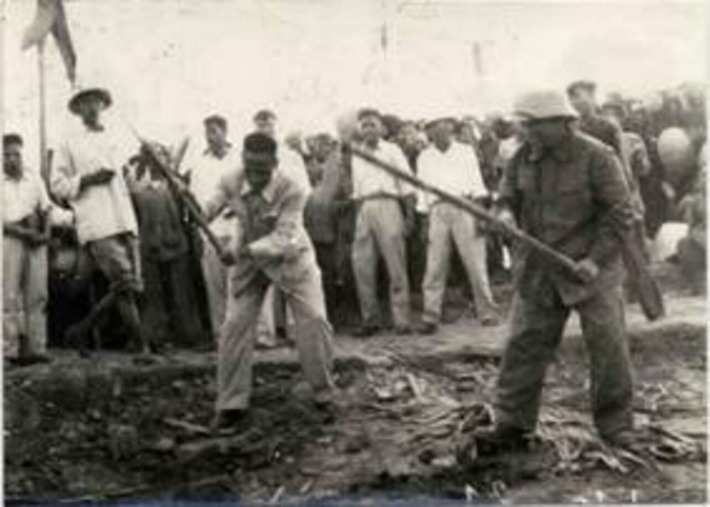 Huy động 30.000 nhân công đào lấp trên 3 triệu m³ đất, Việt Nam đưa công trình trị thủy dài 232km về đích sau 7 tháng khởi công, lập kỷ lục tại miền Bắc - ảnh 1