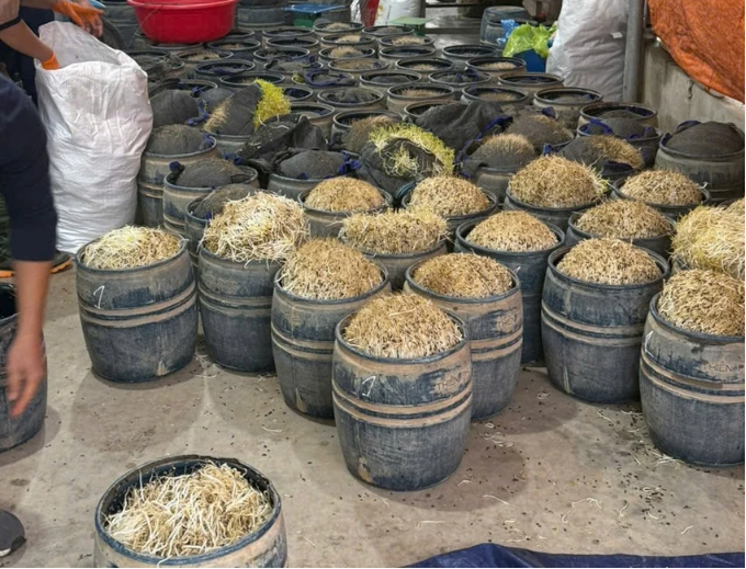 Khởi tố 2 chủ cơ sở sản xuất giá đỗ  - ảnh 1