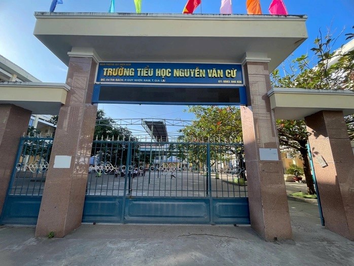 Đình chỉ công tác giáo viên Tiếng Anh Trịnh Thị Kim Nga - ảnh 1