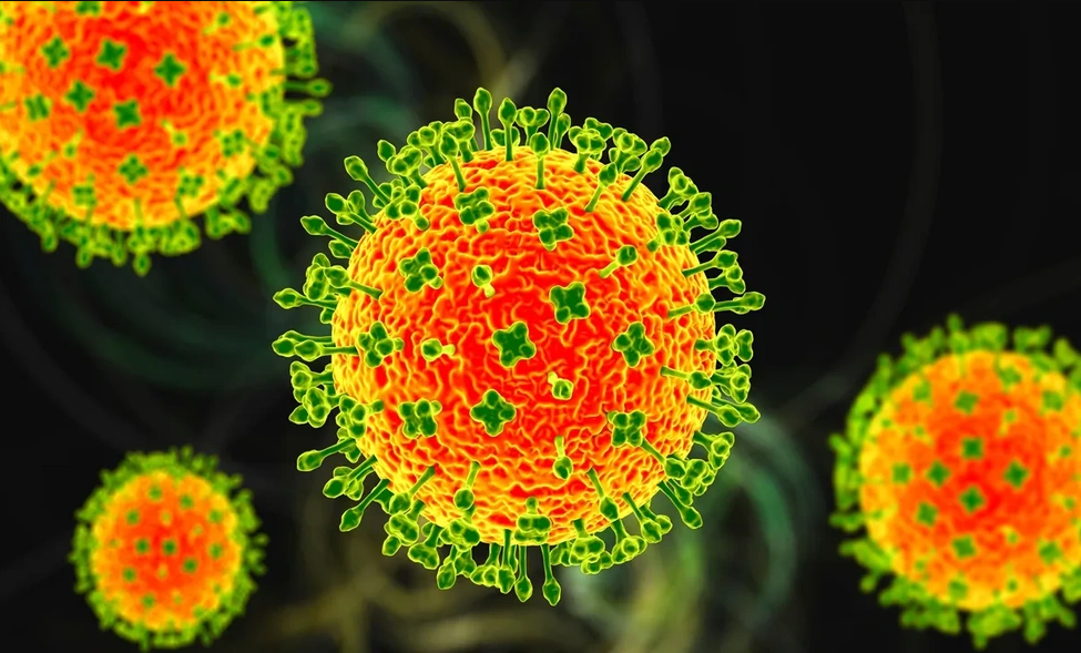 Những điều cần biết về loại virus Nipah nguy hiểm chết người - ảnh 1