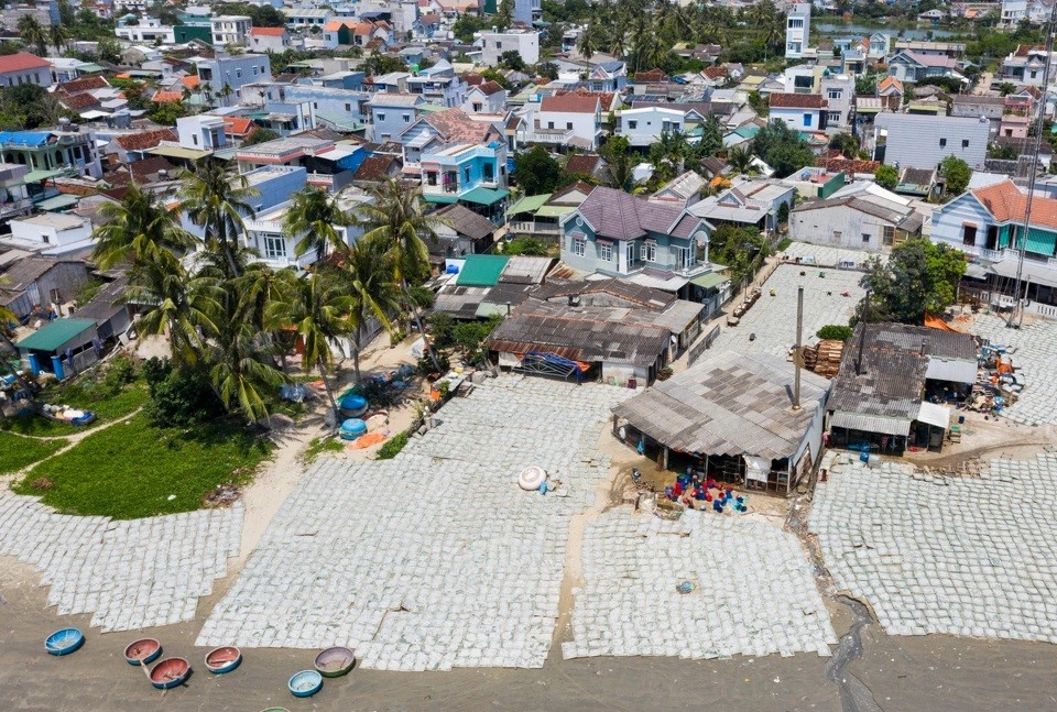 Cảnh phơi c&aacute; cơm nh&igrave;n từ tr&ecirc;n cao. Ảnh: H&agrave; Phương