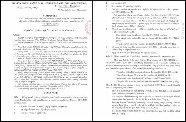 Nghị quyết HĐQT Sông Đà 11 về kết quả của đợt chào bán cổ phiếu (Nguồn: SJE)