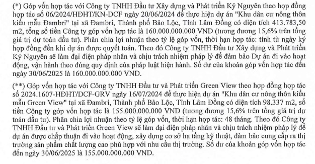 Nguồn: Báo cáo tài chính hợp nhất soát xét bán niên 2025 của DECOFI.