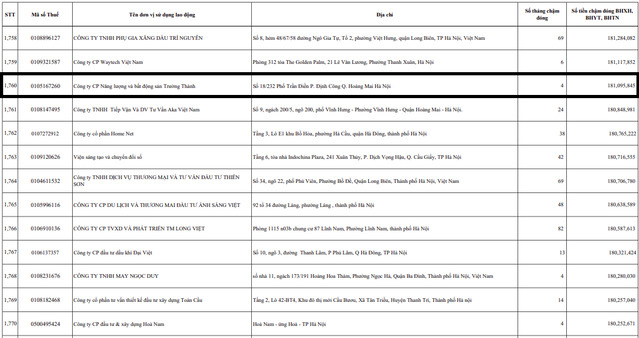 Năng lượng và Bất động sản Trường Thành bị “bêu tên” chậm đóng BHXH đang kinh doanh ra sao? - ảnh 1