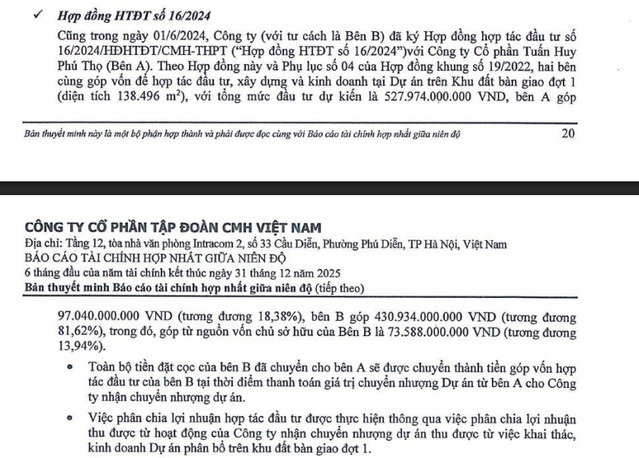 Nguồn: BCTC Hợp nhất soát xét 6 tháng đầu năm 2025 của CMH Group.