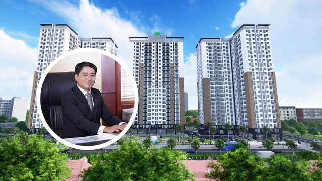 Xuân Mai Corp (XMC): Lợi nhuận liên tục giảm, chủ tịch muốn thoái sạch vốn - ảnh 1