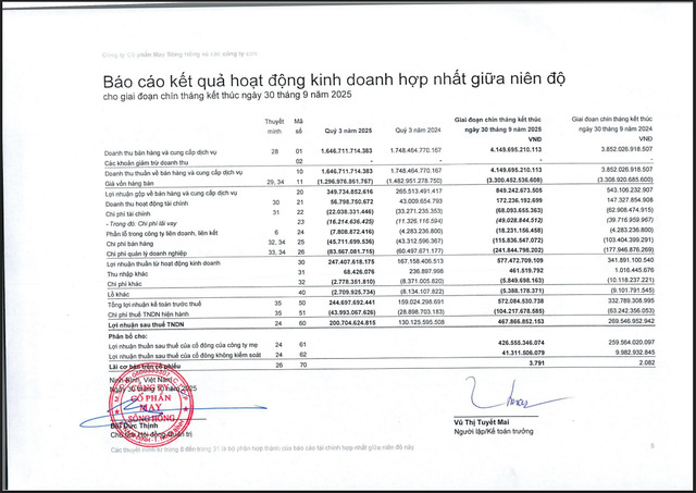 Một số chỉ tiêu tài chính của MSH.