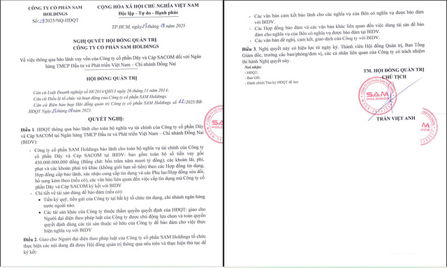 SAM liên tục đứng ra bảo lãnh cho Công ty cổ phần Dây và Cáp SACOM vay vốn tại ngân hàng.