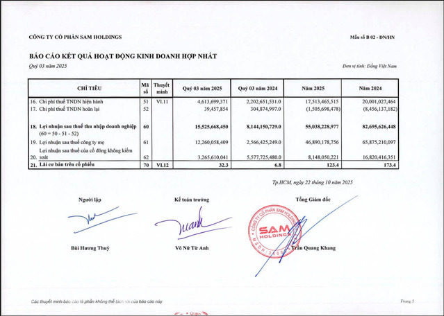 Một số chỉ tiêu tài chính của SAM Holdings.