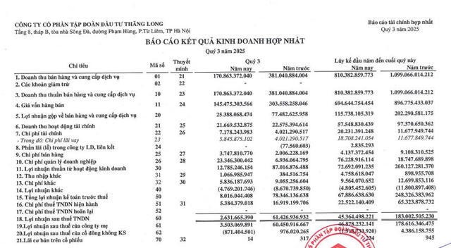 Một số chỉ tiêu tài chính của TIG.