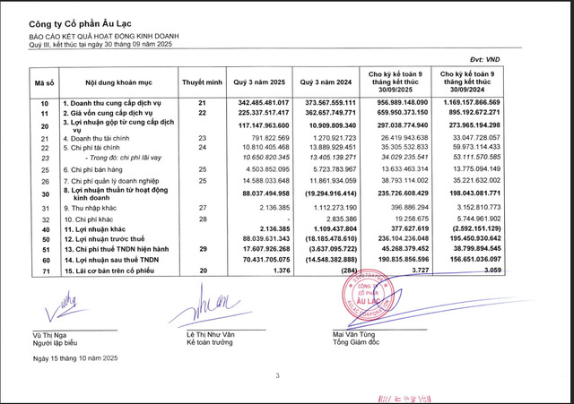 Một số chỉ tiêu tài chính của Âu Lạc.