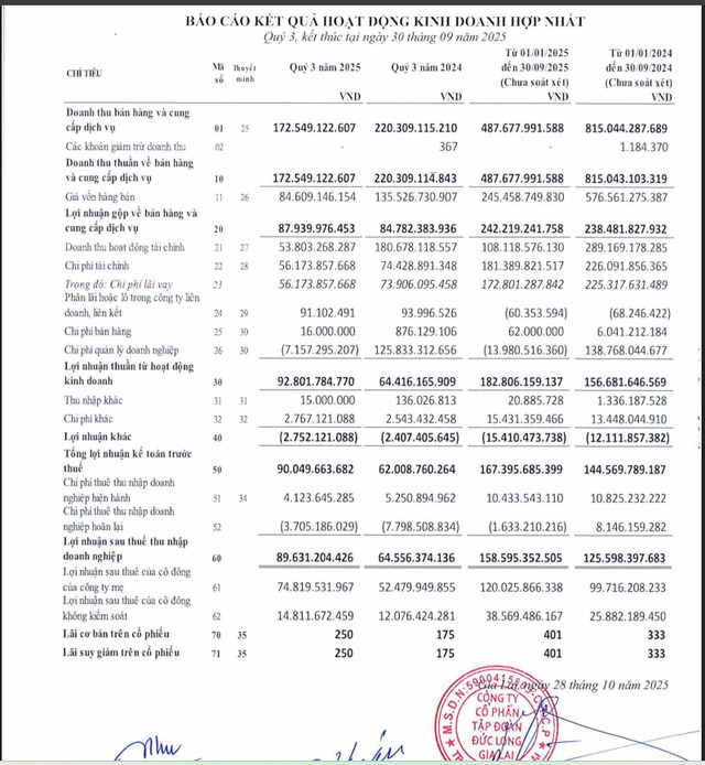 Một số chỉ tiêu tài chính của Đức Long Gia Lai.